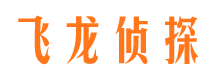 施甸侦探